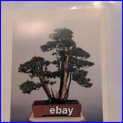 Japanese Bonsai Style 6th Exhibition 1981 Picture book Art Hobby Vintage JP
