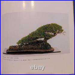 Japanese Bonsai Style 6th Exhibition 1981 Picture book Art Hobby Vintage JP