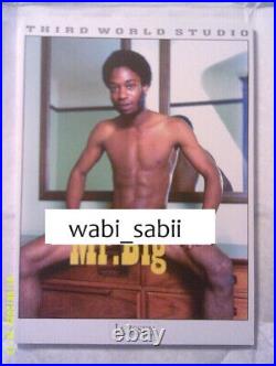 MR BIG #2 Jim Jager Afro Black Nude Beefcake vtg Third World Studio Art Gay Men